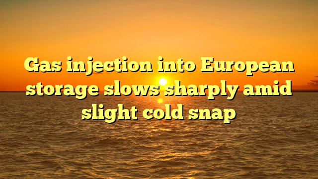 Gas injection into European storage slows sharply amid slight cold snap