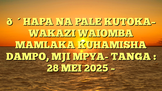 🔴HAPA NA PALE KUTOKA– WAKAZI WAIOMBA MAMLAKA KUHAMISHA DAMPO, MJI MPYA- TANGA : 28 MEI 2025 –