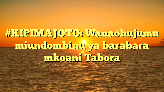 #KIPIMAJOTO: Wanaohujumu miundombinu ya barabara mkoani Tabora