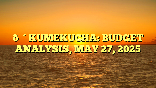 🔴KUMEKUCHA: BUDGET ANALYSIS, MAY 27, 2025