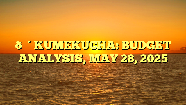🔴KUMEKUCHA: BUDGET ANALYSIS, MAY 28, 2025