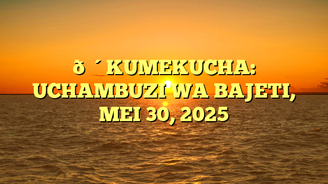 🔴KUMEKUCHA: UCHAMBUZI WA BAJETI, MEI 30, 2025