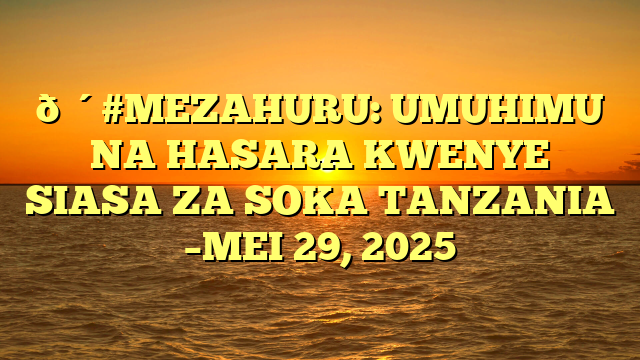 🔴#MEZAHURU: UMUHIMU NA HASARA KWENYE SIASA ZA SOKA TANZANIA –MEI 29, 2025