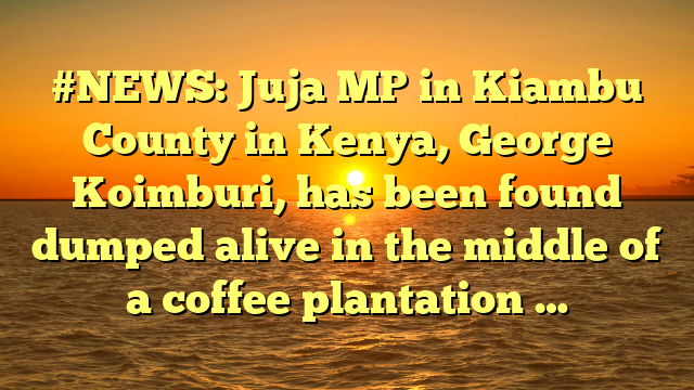 #NEWS: Juja MP in Kiambu County in Kenya, George Koimburi, has been found dumped alive in the middle of a coffee plantation …