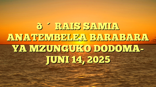 🔴 RAIS SAMIA ANATEMBELEA BARABARA YA MZUNGUKO DODOMA- JUNI 14, 2025