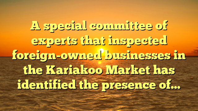 A special committee of experts that inspected foreign-owned businesses in the Kariakoo Market has identified the presence of…