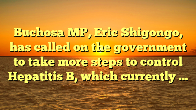 Buchosa MP, Eric Shigongo, has called on the government to take more steps to control Hepatitis B, which currently …
