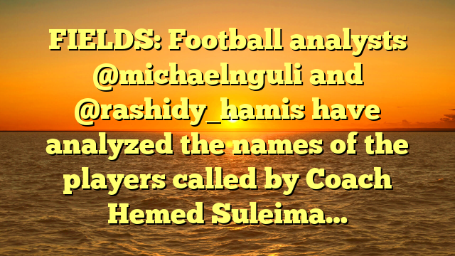 FIELDS: Football analysts @michaelnguli and @rashidy_hamis have analyzed the names of the players called by Coach Hemed Suleima…