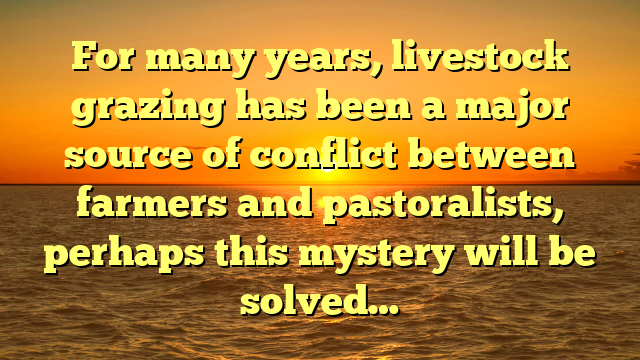 For many years, livestock grazing has been a major source of conflict between farmers and pastoralists, perhaps this mystery will be solved…