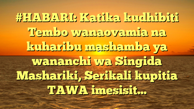 #HABARI: Katika kudhibiti Tembo wanaovamia na kuharibu mashamba ya wananchi wa Singida Mashariki, Serikali kupitia TAWA imesisit…