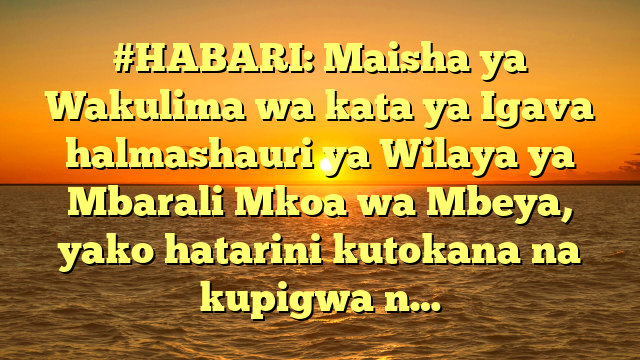 #HABARI: Maisha ya Wakulima wa kata ya Igava halmashauri ya Wilaya ya Mbarali Mkoa wa Mbeya, yako hatarini kutokana na kupigwa n…