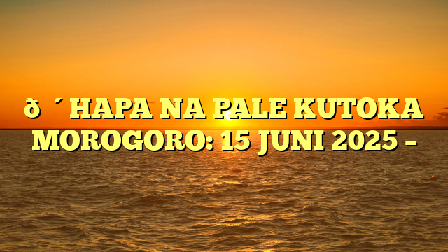 🔴HAPA NA PALE KUTOKA MOROGORO: 15 JUNI 2025 –