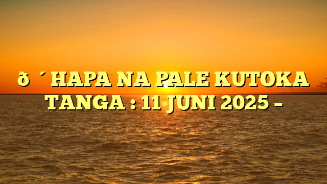🔴HAPA NA PALE KUTOKA TANGA : 11 JUNI 2025 –