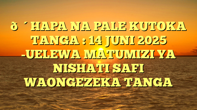 🔴HAPA NA PALE KUTOKA TANGA : 14 JUNI 2025 -UELEWA MATUMIZI YA NISHATI SAFI WAONGEZEKA TANGA