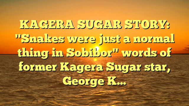 KAGERA SUGAR STORY: "Snakes were just a normal thing in Sobibor" words of former Kagera Sugar star, George K…