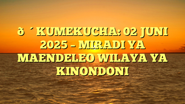 🔴KUMEKUCHA: 02 JUNI 2025 – MIRADI YA MAENDELEO WILAYA YA KINONDONI