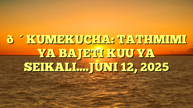 🔴KUMEKUCHA: TATHMIMI YA BAJETI KUU YA SEIKALI….JUNI 12, 2025