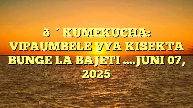 🔴KUMEKUCHA: VIPAUMBELE VYA KISEKTA BUNGE LA BAJETI ….JUNI 07, 2025