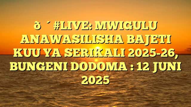 🔴#LIVE: MWIGULU ANAWASILISHA BAJETI KUU YA SERIKALI 2025-26, BUNGENI DODOMA : 12 JUNI 2025