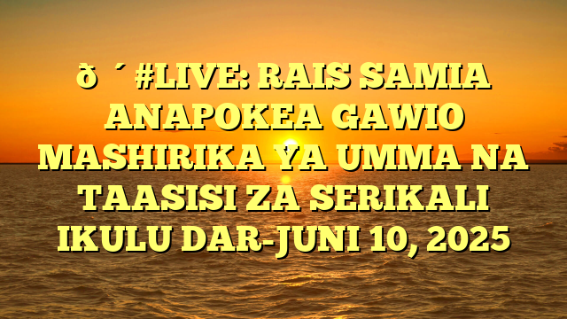 🔴#LIVE: RAIS SAMIA ANAPOKEA GAWIO MASHIRIKA YA UMMA NA TAASISI ZA SERIKALI IKULU DAR-JUNI 10, 2025