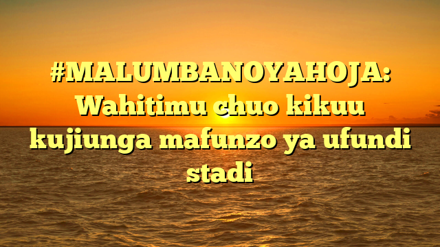 #MALUMBANOYAHOJA: Wahitimu chuo kikuu kujiunga mafunzo ya ufundi stadi