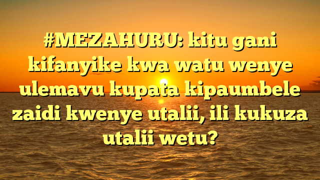 #MEZAHURU: kitu gani kifanyike kwa watu wenye ulemavu kupata kipaumbele zaidi kwenye utalii, ili kukuza utalii wetu?