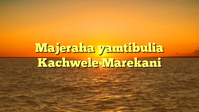 Majeraha yamtibulia Kachwele Marekani