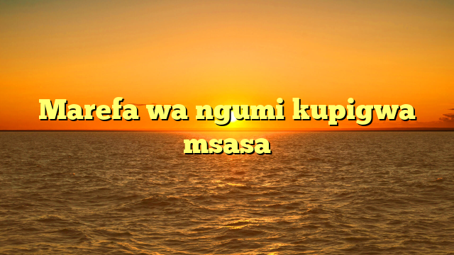 Marefa wa ngumi kupigwa msasa