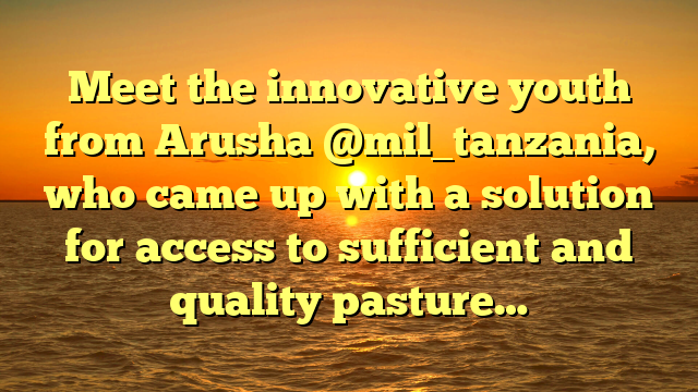 Meet the innovative youth from Arusha @mil_tanzania, who came up with a solution for access to sufficient and quality pasture…