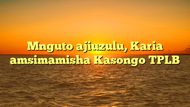 Mnguto ajiuzulu, Karia amsimamisha Kasongo TPLB