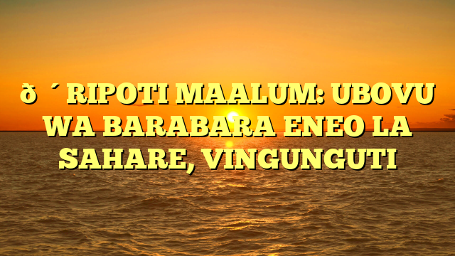🔴RIPOTI MAALUM: UBOVU WA BARABARA ENEO LA SAHARE, VINGUNGUTI