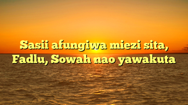 Sasii afungiwa miezi sita, Fadlu, Sowah nao yawakuta