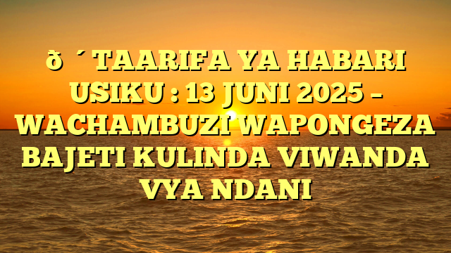 🔴TAARIFA YA HABARI USIKU : 13 JUNI 2025 – WACHAMBUZI WAPONGEZA BAJETI KULINDA VIWANDA VYA NDANI