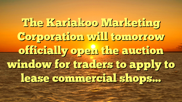 The Kariakoo Marketing Corporation will tomorrow officially open the auction window for traders to apply to lease commercial shops…
