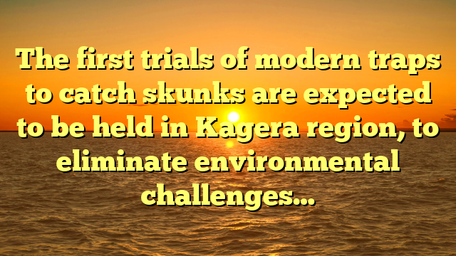 The first trials of modern traps to catch skunks are expected to be held in Kagera region, to eliminate environmental challenges…