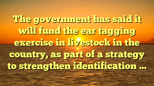 The government has said it will fund the ear tagging exercise in livestock in the country, as part of a strategy to strengthen identification …