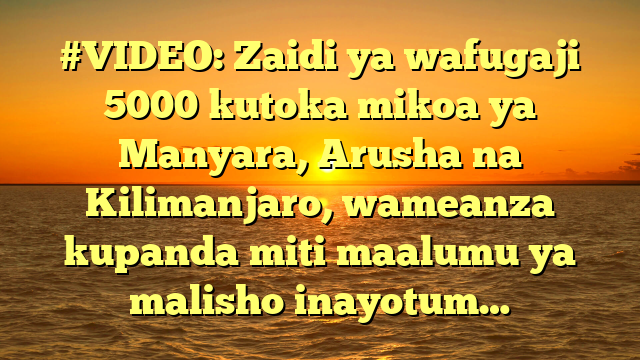 #VIDEO: Zaidi ya wafugaji 5000 kutoka mikoa ya Manyara, Arusha na Kilimanjaro, wameanza kupanda miti maalumu ya malisho inayotum…