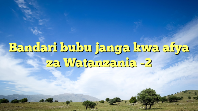 Bandari bubu janga kwa afya za Watanzania -2