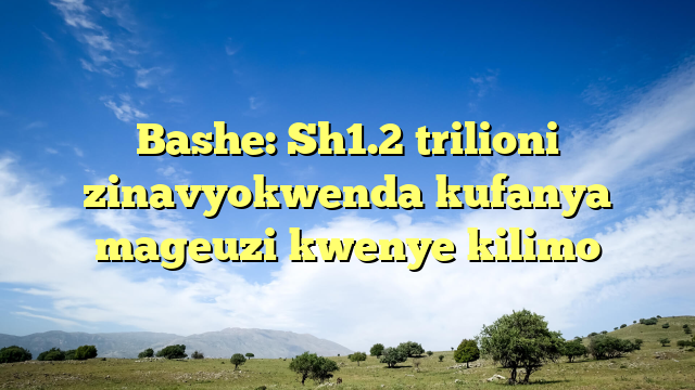 Bashe: Sh1.2 trilioni zinavyokwenda kufanya mageuzi kwenye kilimo