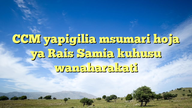 CCM yapigilia msumari hoja ya Rais Samia kuhusu wanaharakati