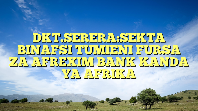 DKT.SERERA:SEKTA BINAFSI TUMIENI FURSA ZA AFREXIM BANK KANDA YA AFRIKA