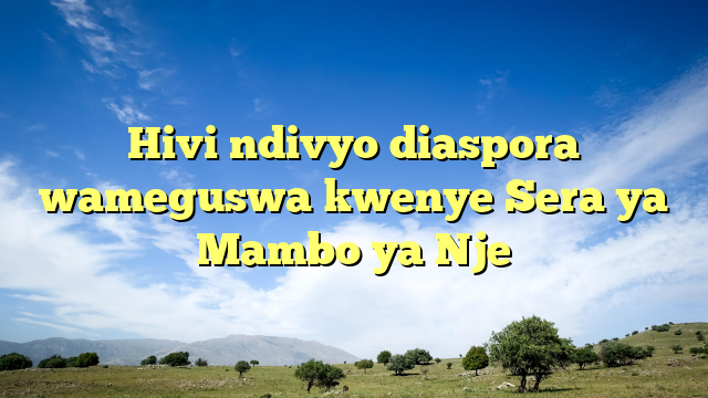 Hivi ndivyo diaspora wameguswa kwenye Sera ya Mambo ya Nje