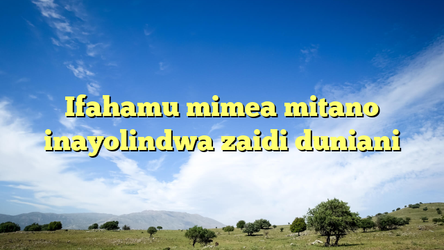 Ifahamu mimea mitano inayolindwa zaidi duniani