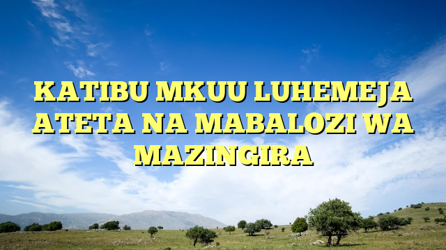 KATIBU MKUU LUHEMEJA ATETA NA MABALOZI WA MAZINGIRA