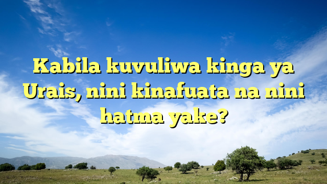 Kabila kuvuliwa kinga ya Urais, nini kinafuata na nini hatma yake?