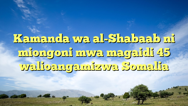 Kamanda wa al-Shabaab ni miongoni mwa magaidi 45 walioangamizwa Somalia