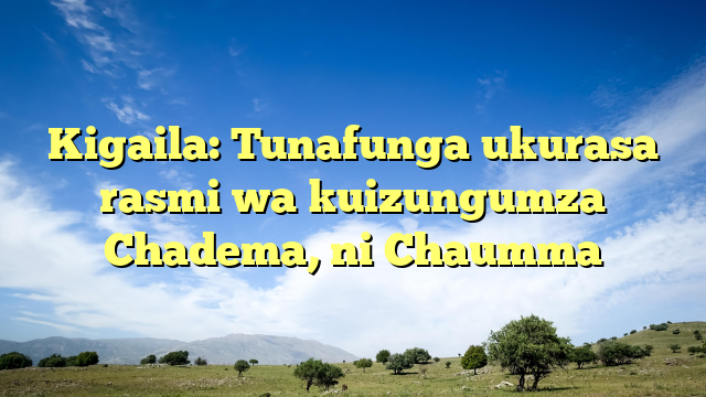 Kigaila: Tunafunga ukurasa rasmi wa kuizungumza Chadema, ni Chaumma