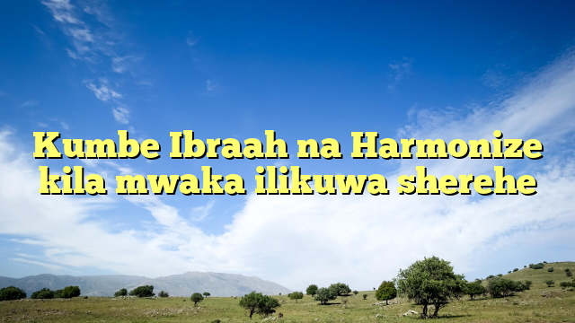 Kumbe Ibraah na Harmonize kila mwaka ilikuwa sherehe