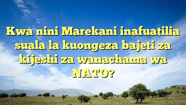 Kwa nini Marekani inafuatilia suala la kuongeza bajeti za kijeshi za wanachama wa NATO?