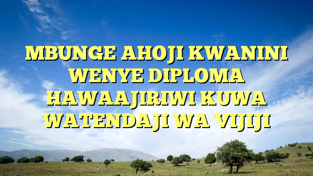 MBUNGE AHOJI KWANINI WENYE DIPLOMA HAWAAJIRIWI KUWA WATENDAJI WA VIJIJI